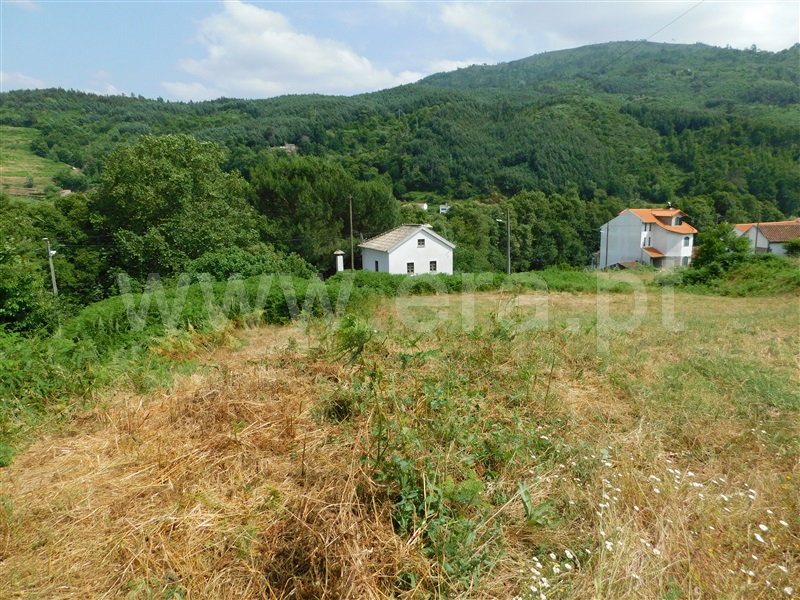 Terreno Urbano / Seia, Sandomil