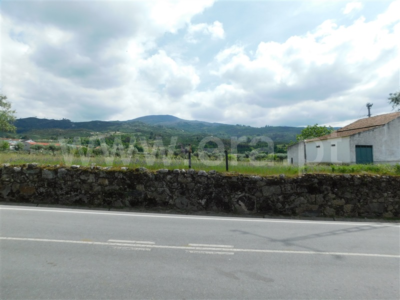 Terreno Urbano  Seia, Santa Marinha e São Martinho - 1325738 - 1