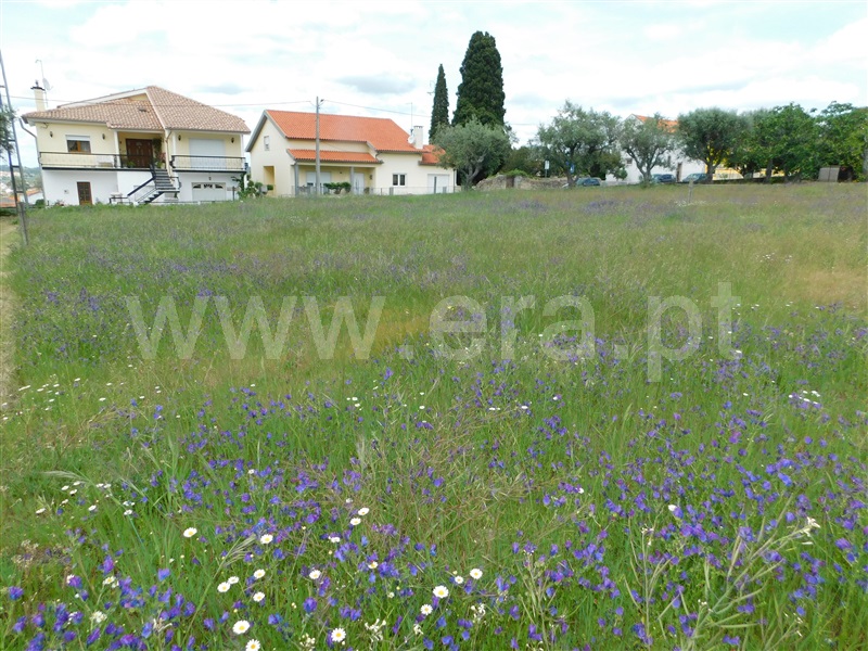 Terreno Urbano  Seia, Santa Marinha e São Martinho - 1325738 - 4