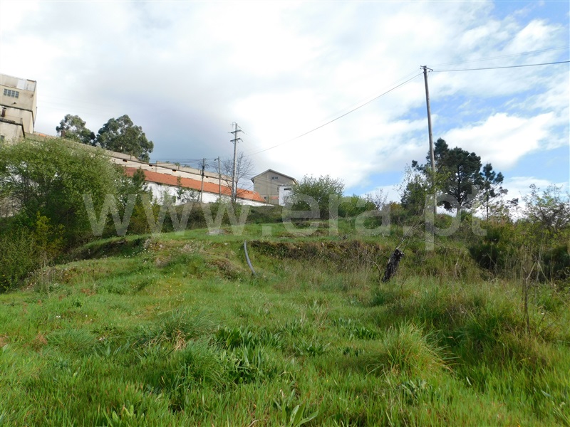 Terreno Urbano  Seia, São Romão - 1083177 - 5