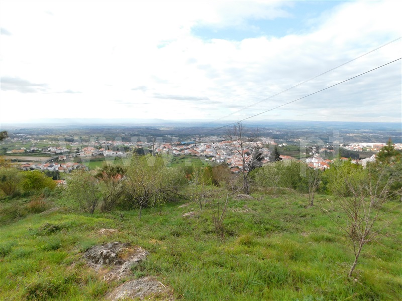 Terreno Urbano  Seia, São Romão - 1083177 - 8