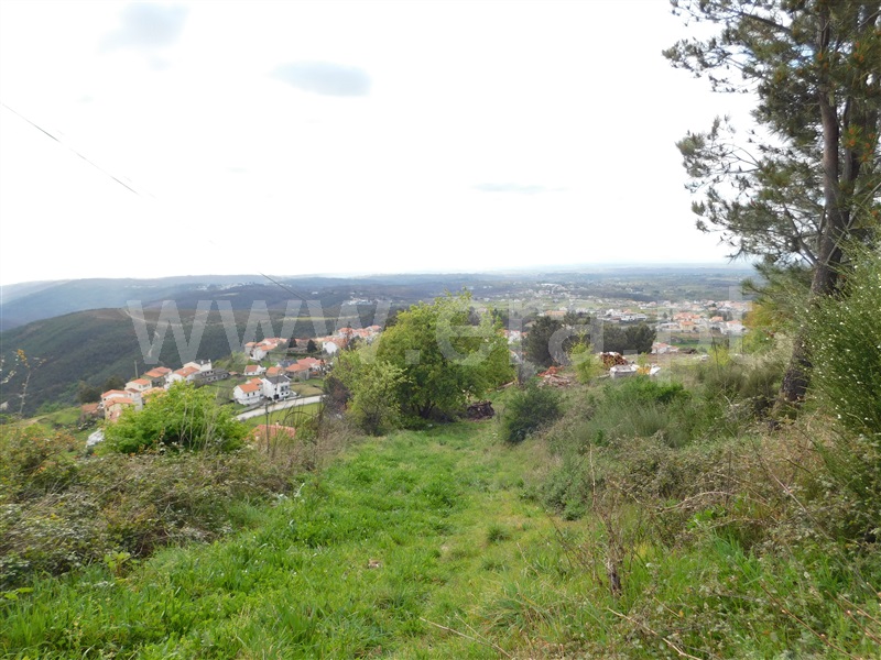 Terreno Urbano  Seia, São Romão - 1083177 - 10