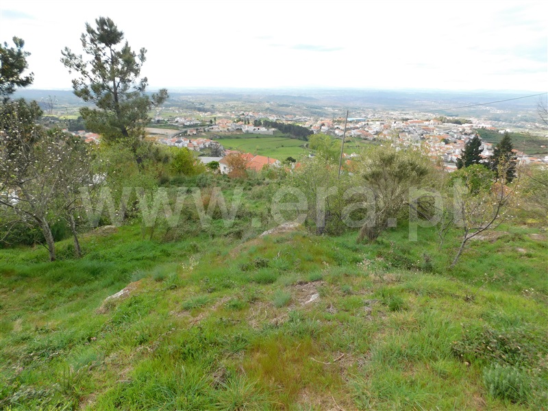 Terreno Urbano  Seia, São Romão - 1083177 - 16
