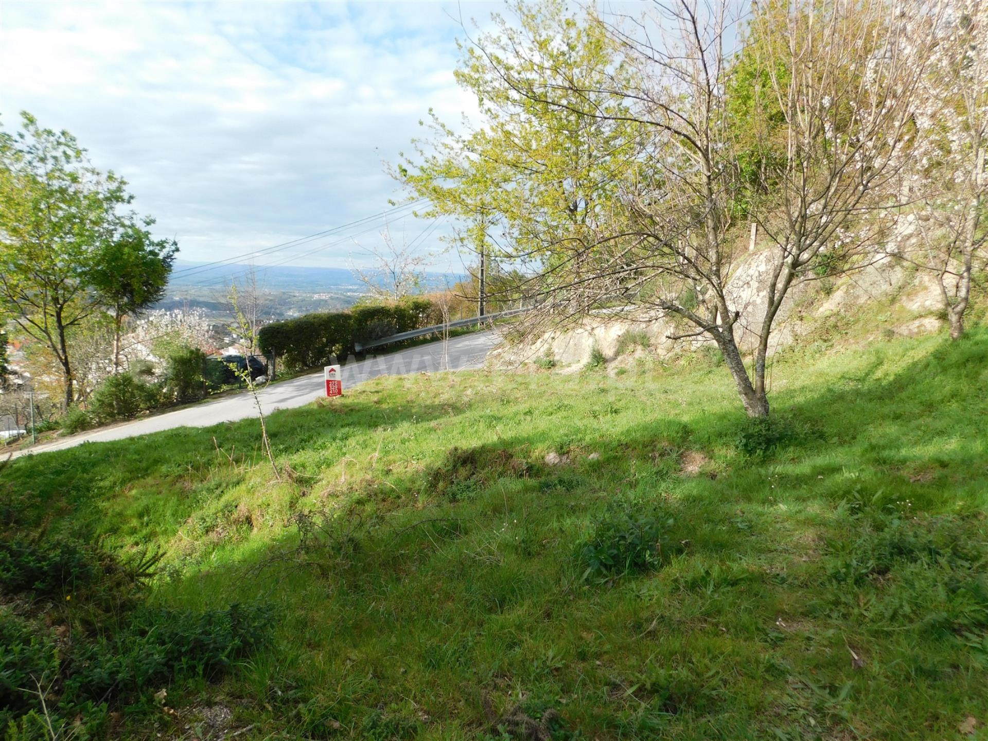 Terreno