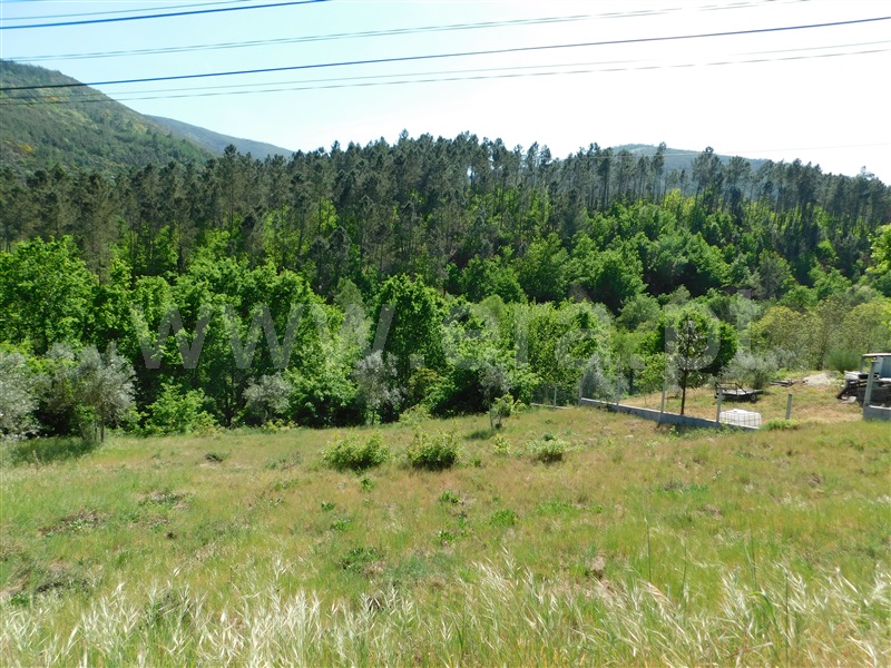 Terreno Urbano / Seia, Vila Cova à Coelheira