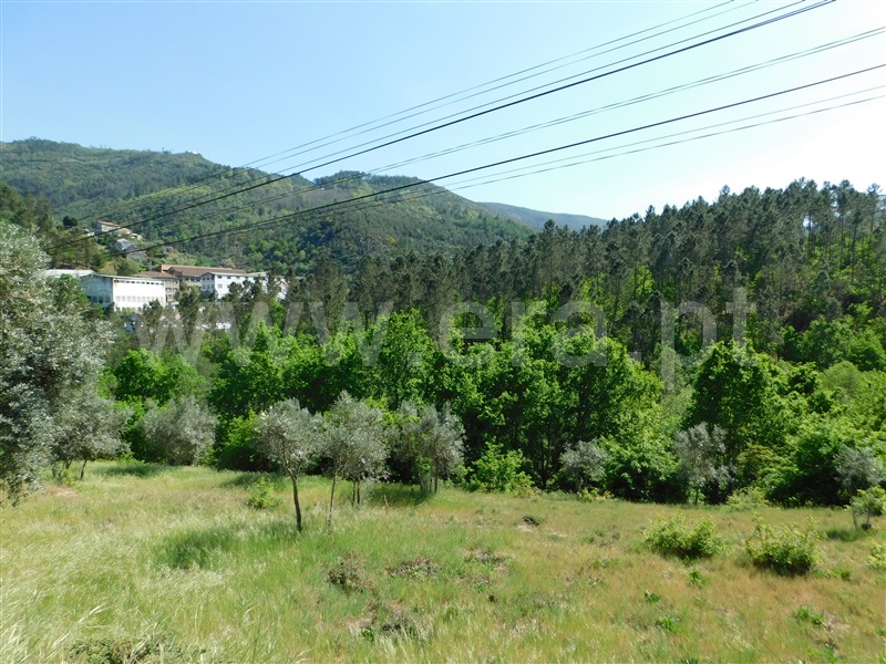 Terreno Urbano  Seia, Vila Cova à Coelheira - 1324204 - 2