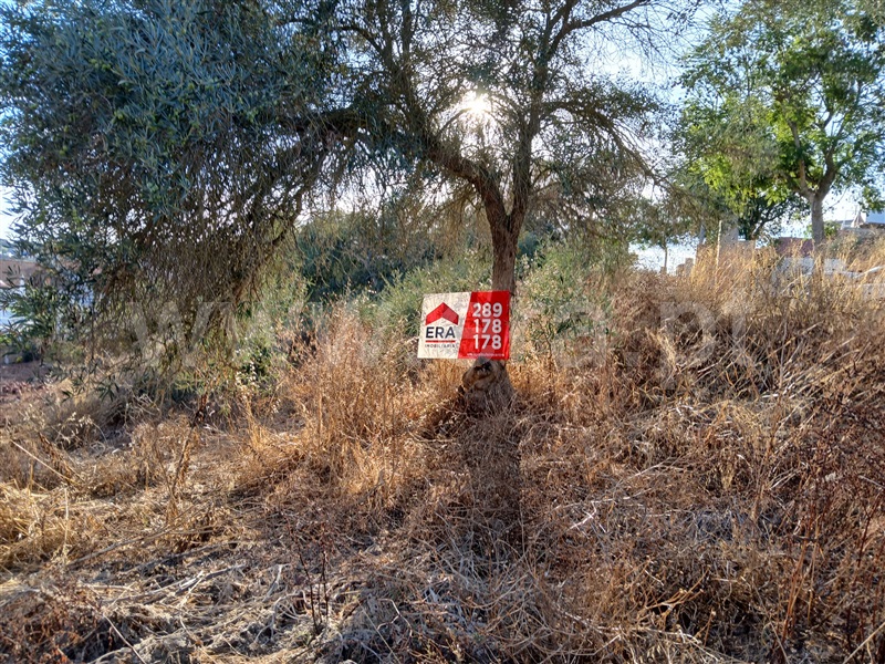 Terreno Urbano  Silves, São Bartolomeu de Messines - 1432808 - 1