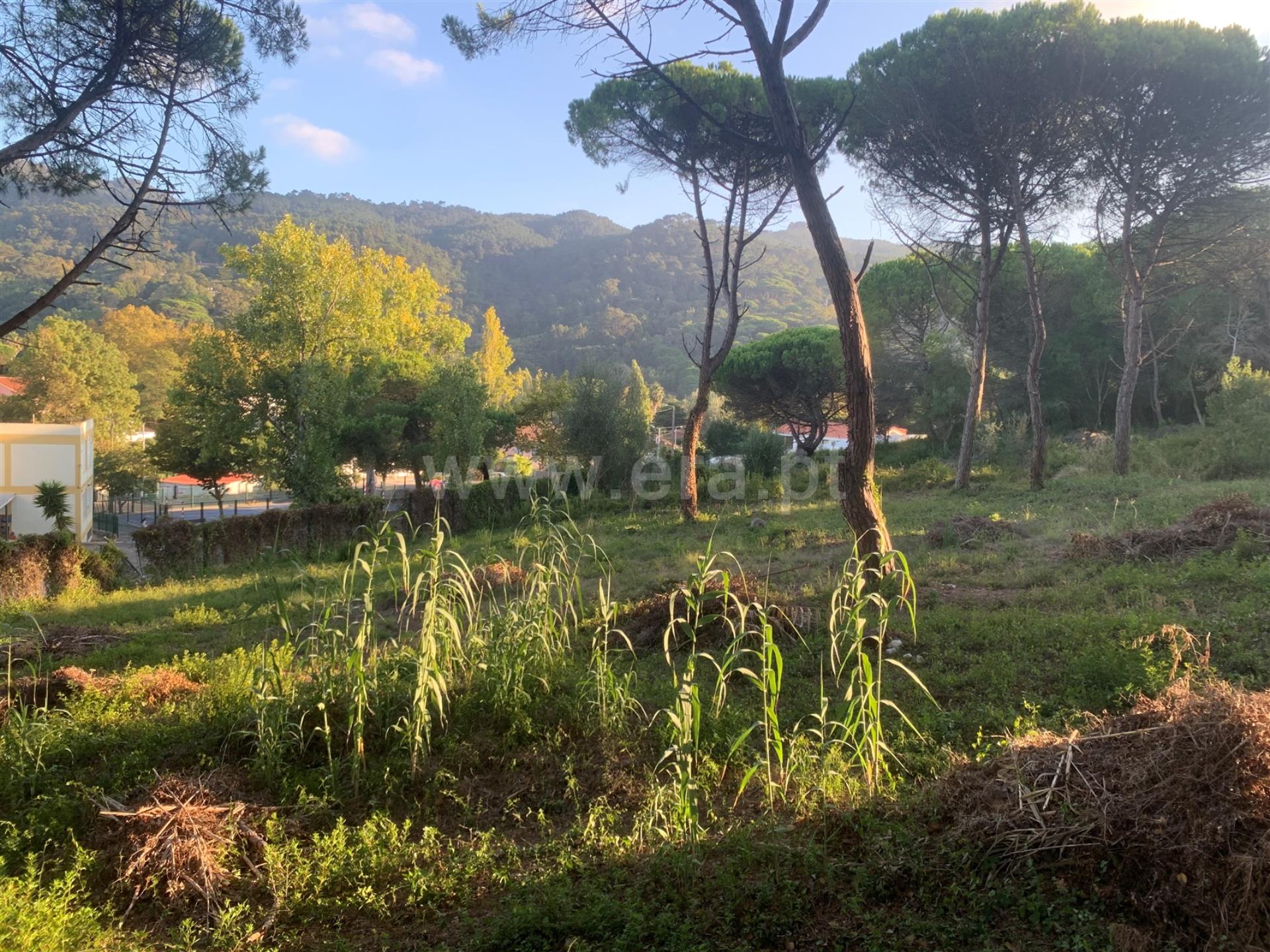 Land for sale in Sintra, Portugal — €320,000
