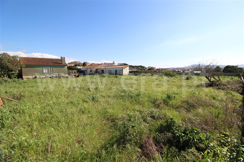 Terreno Urbano  Sintra, Montelavar - 1446694 - 2