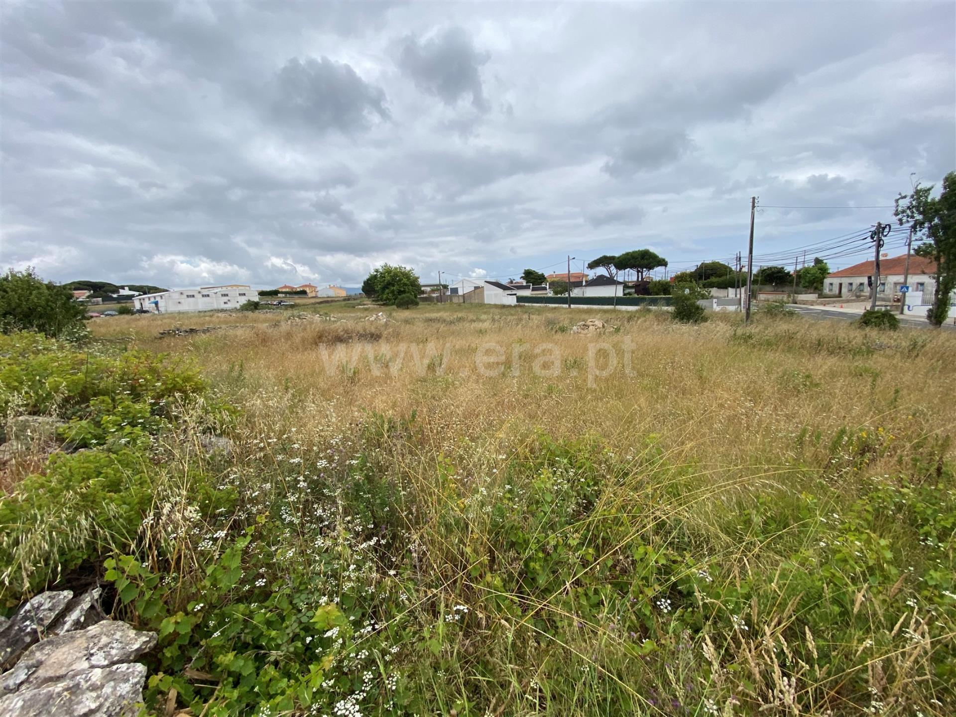 Land for sale in Sintra, Portugal — €240,000