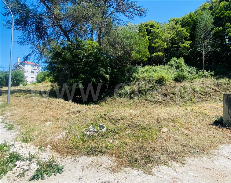 Terreno Urbano  Sintra, Sintra (Santa Maria e São Miguel, São Martinho e São Pedro de Penaferrim) - 1252032 - 5
