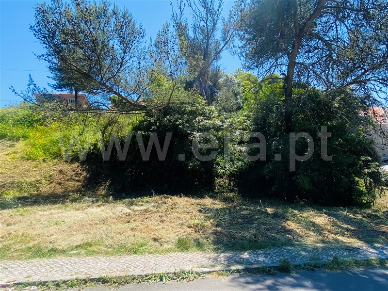 Terreno Urbano  Sintra, Sintra (Santa Maria e São Miguel, São Martinho e São Pedro de Penaferrim) - 1252032 - 7