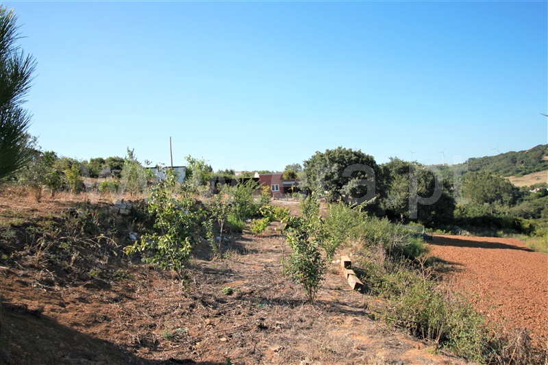 Terreno Urbano  com Aprovado Sobral de Monte Agraço, Santo Quintino - 1343904 - 18