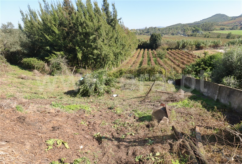 Terreno Urbano T1 com Urbano Torres Vedras, Maxial e Monte Redondo - 1437858 - 18