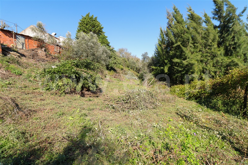 Terreno Urbano T1 com Urbano Torres Vedras, Maxial e Monte Redondo - 1437858 - 19