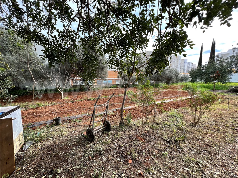 Terreno Urbano  Tavira, Mato Santo Espírito/ Vale Carangueijo - 1295490 - 1
