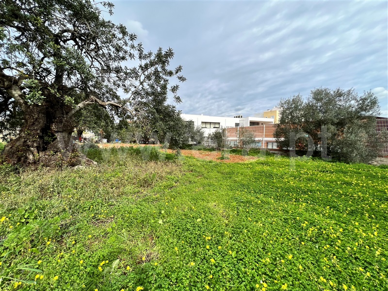 Terreno Urbano  Tavira, Mato Santo Espírito/ Vale Carangueijo - 1295490 - 4