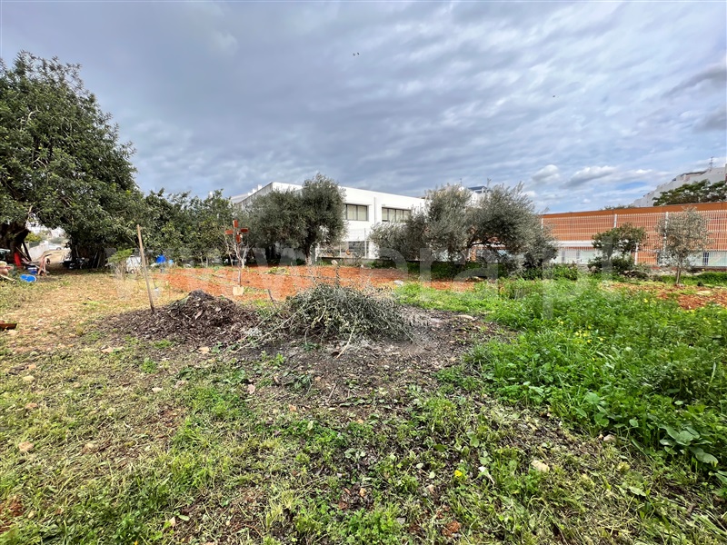 Terreno Urbano  Tavira, Mato Santo Espírito/ Vale Carangueijo - 1295490 - 5