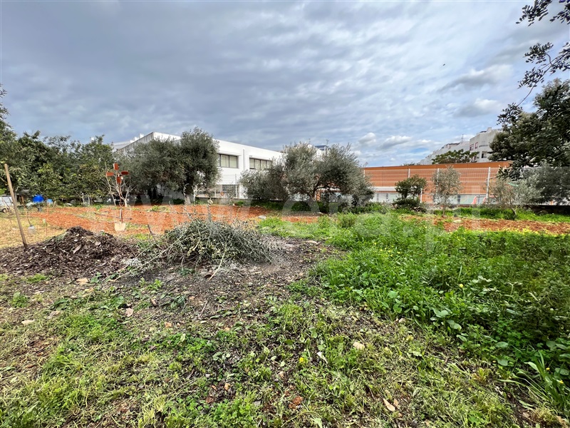 Terreno Urbano  Tavira, Mato Santo Espírito/ Vale Carangueijo - 1295490 - 6