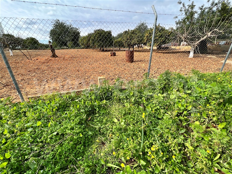 Terreno Urbano  Tavira, Mato Santo Espírito/ Vale Carangueijo - 1295490 - 12