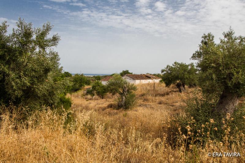 Terreno Urbano  Tavira, Tavira (Santa Maria e Santiago) - 835070 - 7
