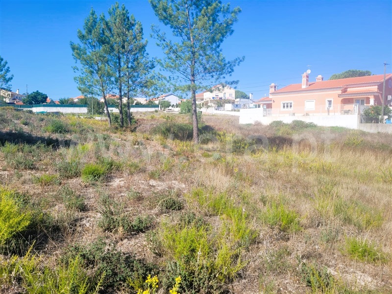 Terreno Urbano / Tomar, Casais e Alviobeira