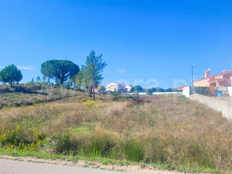 Terreno Urbano  Tomar, Casais e Alviobeira - 1346138 - 4