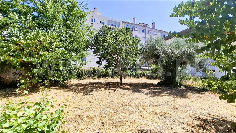 Terreno Urbano  Tomar, Tomar (São João Baptista) e Santa Maria dos Olivais - 1499844 - 4