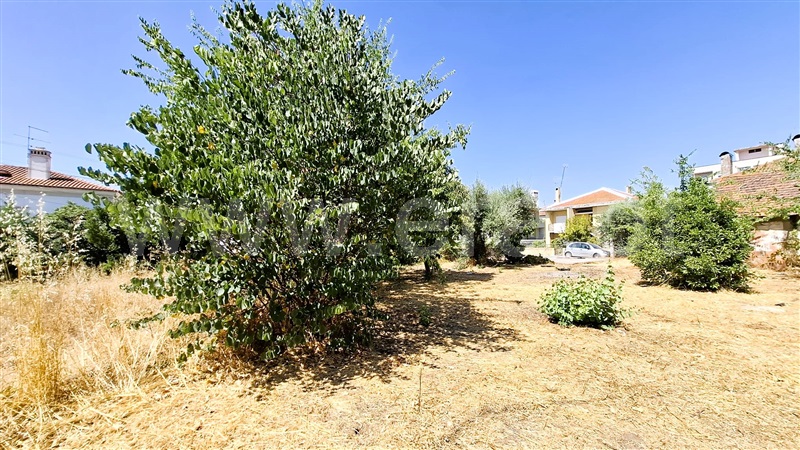 Terreno Urbano  Tomar, Tomar (São João Baptista) e Santa Maria dos Olivais - 1499844 - 5