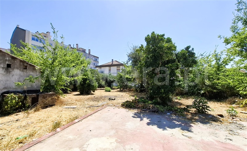 Terreno Urbano  Tomar, Tomar (São João Baptista) e Santa Maria dos Olivais - 1499844 - 6