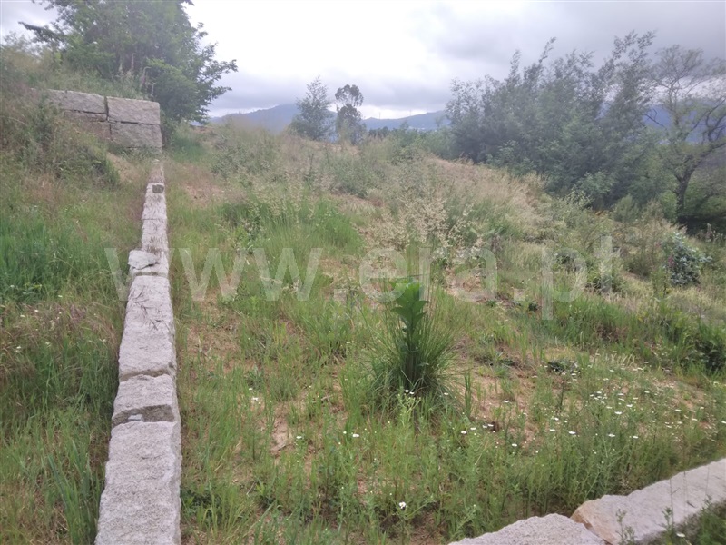 Terreno Urbano  Tondela, Campo de Besteiros - 1250318 - 2