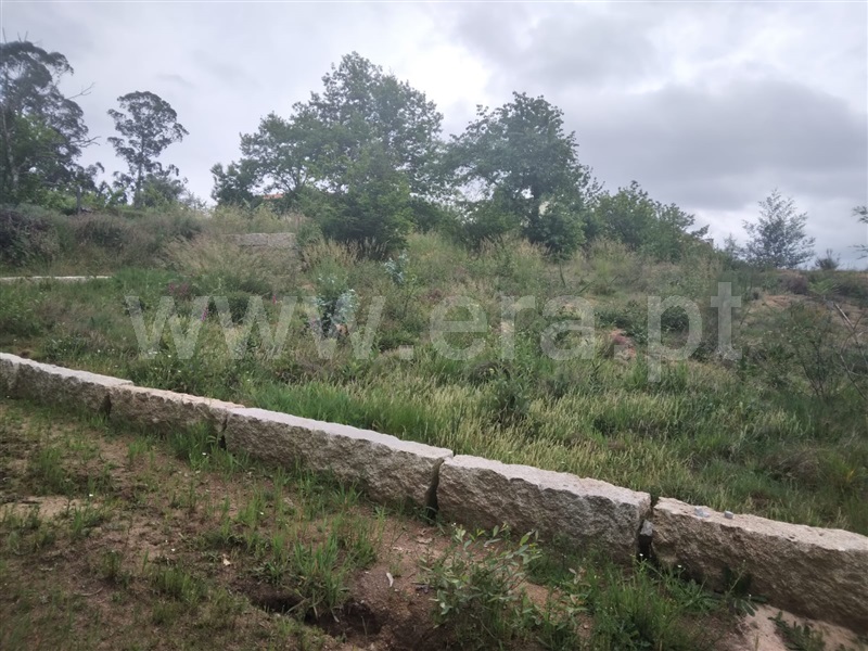 Terreno Urbano  Tondela, Campo de Besteiros - 1250318 - 3