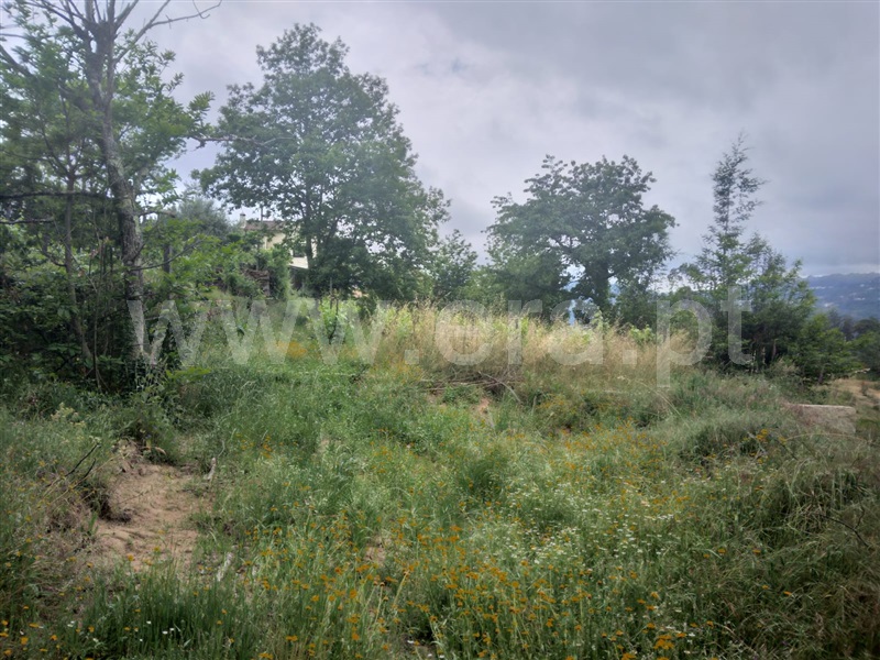 Terreno Urbano  Tondela, Campo de Besteiros - 1250318 - 4