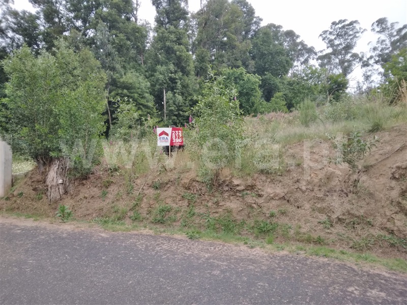 Terreno Urbano  Tondela, Campo de Besteiros - 1250318 - 6