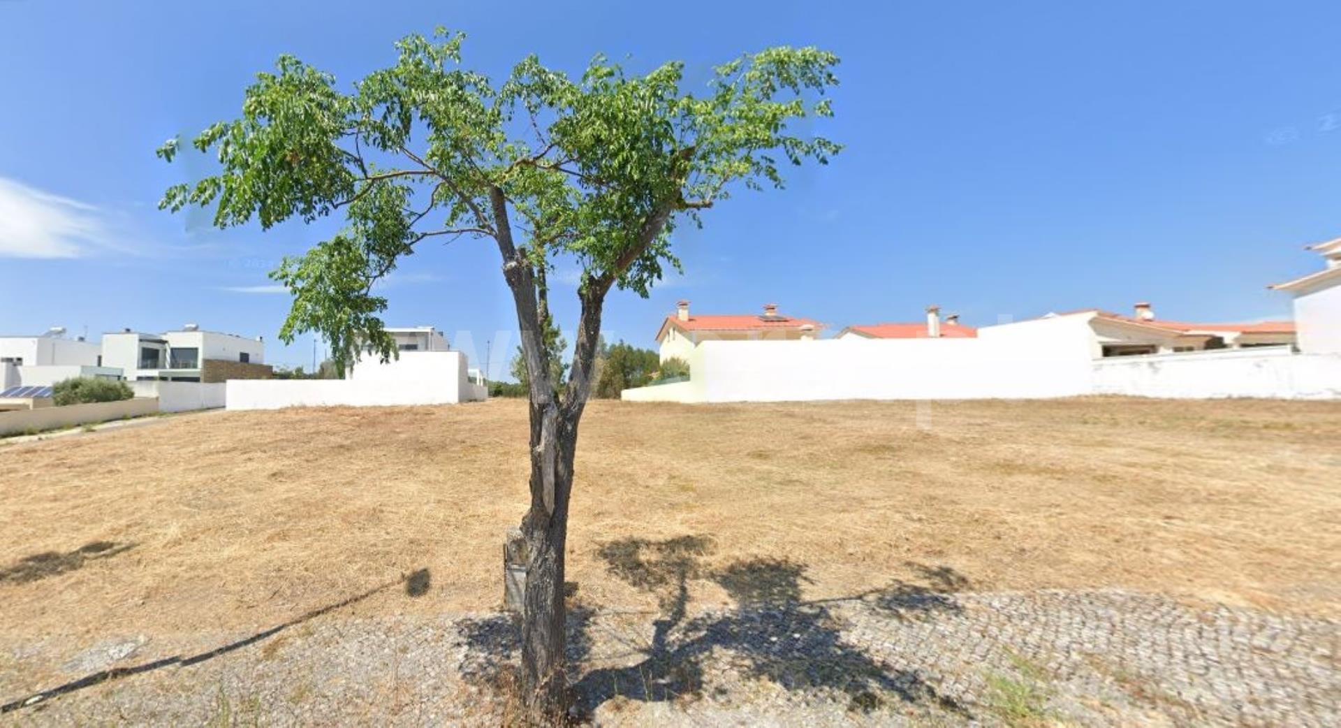 Land for sale in Torres Novas, Portugal — €75,000