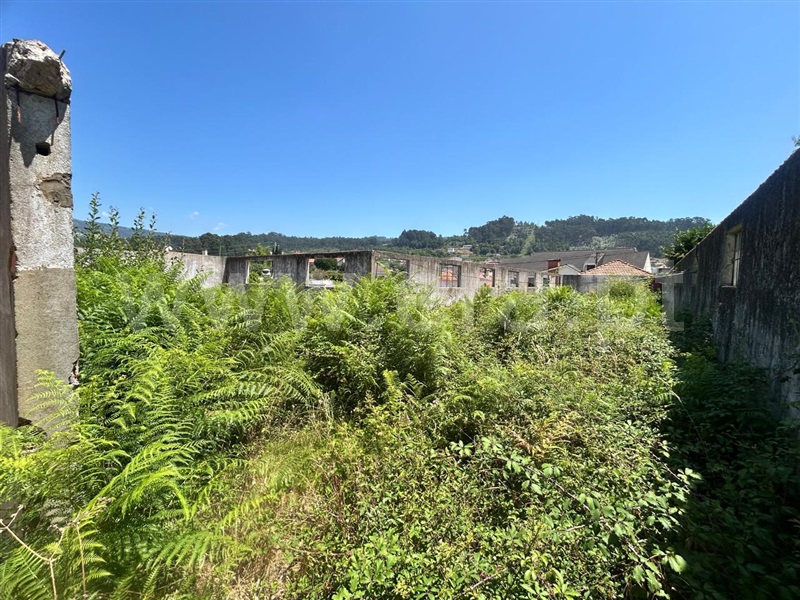Terreno Urbano  Vale de Cambra, Macieira de Cambra - 1493745 - 4