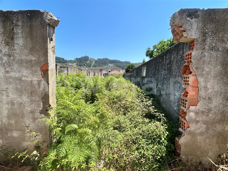 Terreno Urbano  Vale de Cambra, Macieira de Cambra - 1493745 - 9