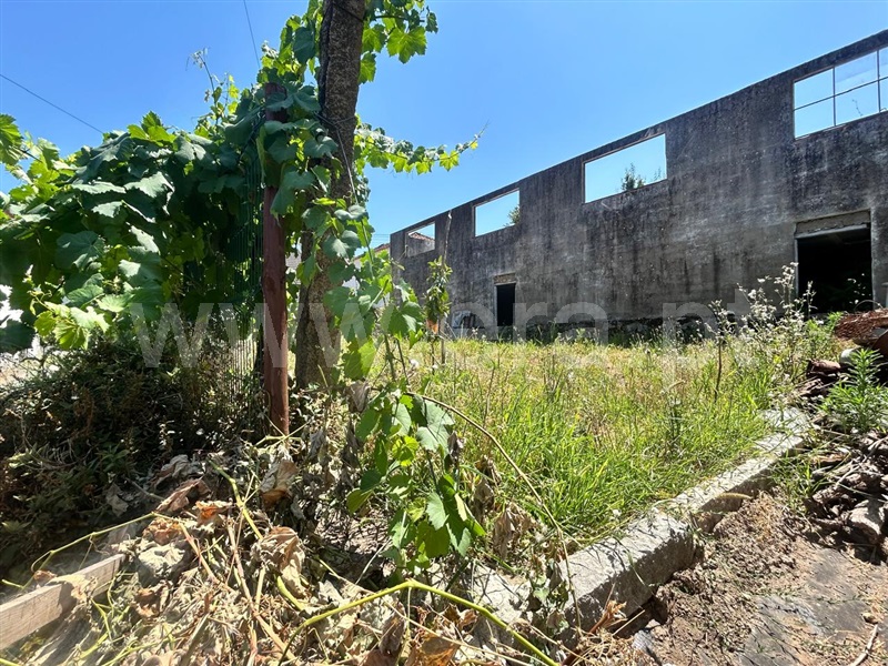 Terreno Urbano  Vale de Cambra, Macieira de Cambra - 1493745 - 10