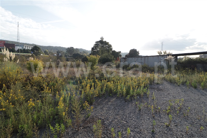 Terreno Urbano  Valongo - 1508937 - 2