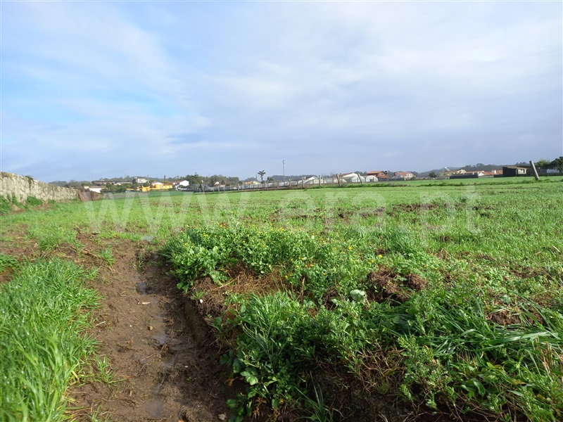 Terreno Urbano / Vila do Conde, Gião