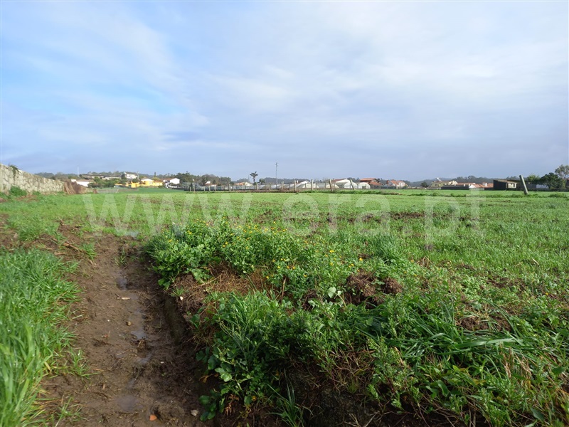 Terreno  Vila do Conde, Gião - 1458336 - 3