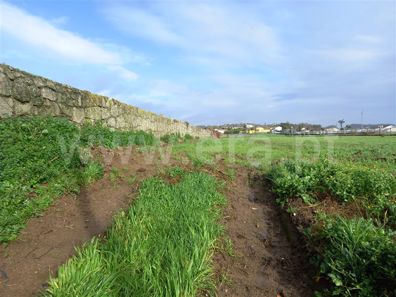 Terreno  Vila do Conde, Gião - 1458336 - 4