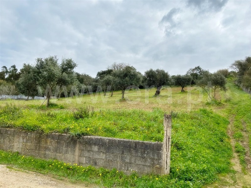 Terreno Urbano  Vila Franca de Xira, Quinta da Coutada - 1312882 - 4