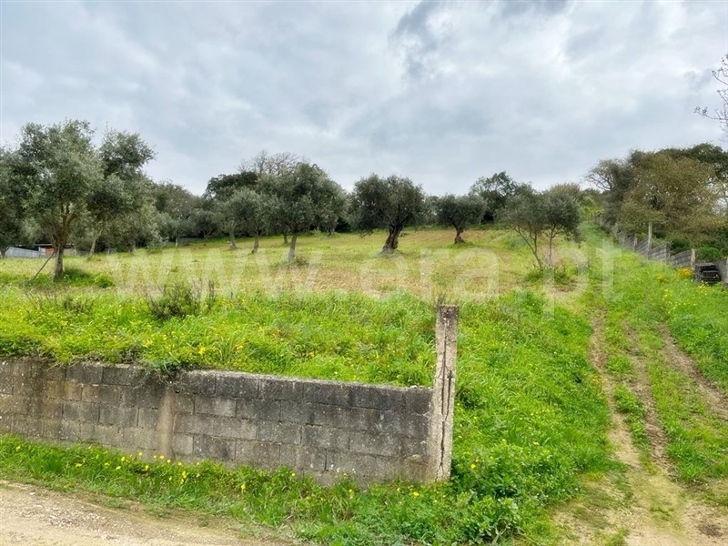 Terreno Urbano  Vila Franca de Xira, Quinta da Coutada - 1312882 - 5