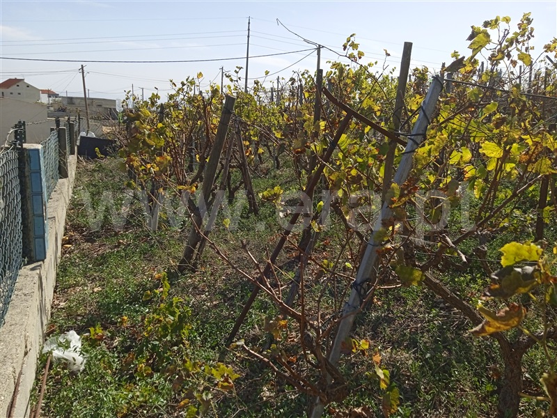 Terreno Urbano  Vila Franca de Xira, Vialonga - 1363158 - 16