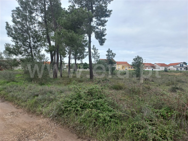 Terreno Urbano  Vila Nova da Barquinha, Atalaia - 1368126 - 3