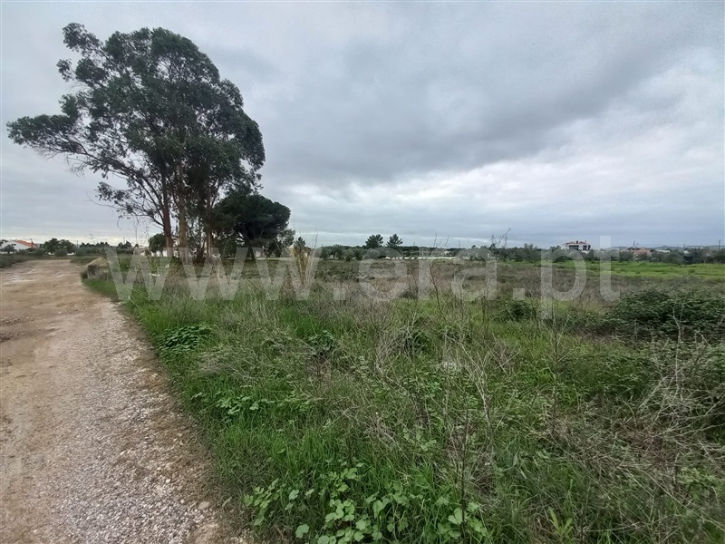 Terreno Urbano  Vila Nova da Barquinha, Atalaia - 1368126 - 4