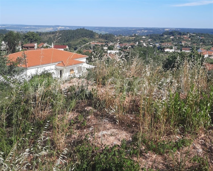 Terreno Urbano / Vila Nova da Barquinha, Vila Nova da Barquinha