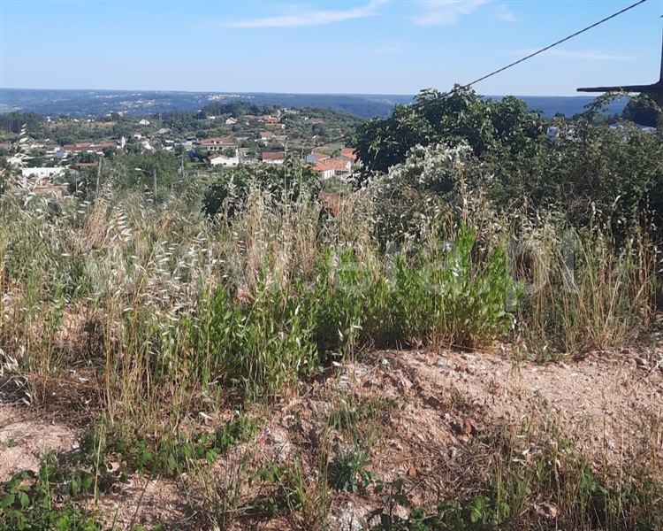 Terreno Urbano  Vila Nova da Barquinha, Praia do Ribatejo - 1417910 - 3