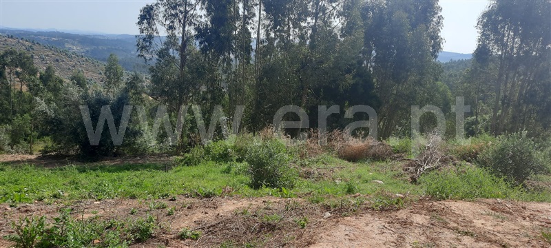 Terreno Urbano / Vila Nova da Barquinha, Vila Nova da Barquinha